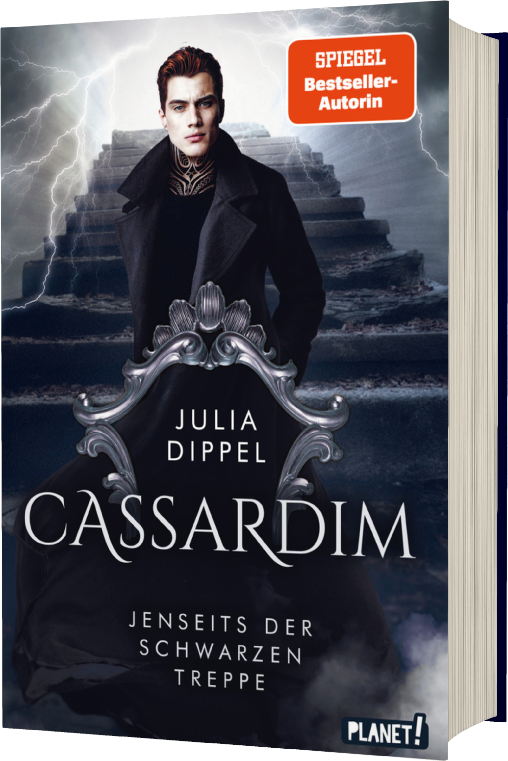 Bücherblog. Neuzugang. Buchcover. Cassardim - Jenseits der Schwarzen Treppe (Band 2) von Julia Dippel. Jugendbuch. Fantasy. Planet!.